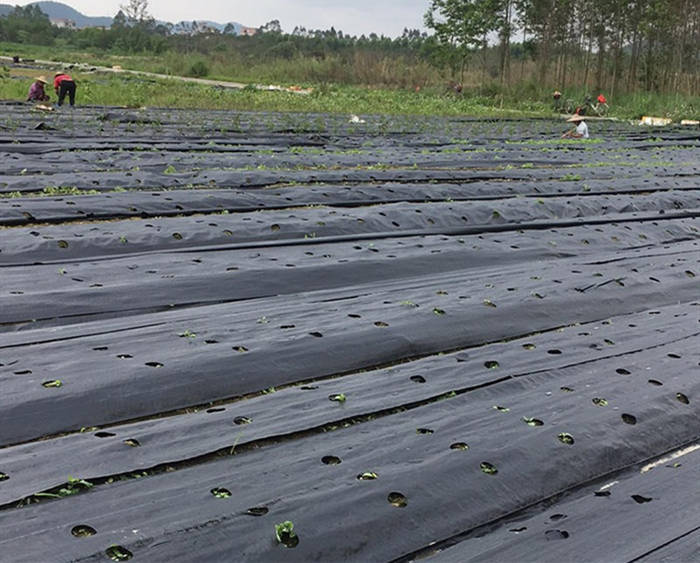 土工膜与混凝土链接时的要求